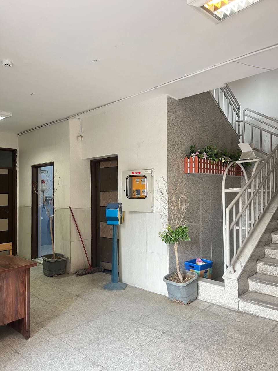 آموزشگاه زبان های خارجی مستقیم